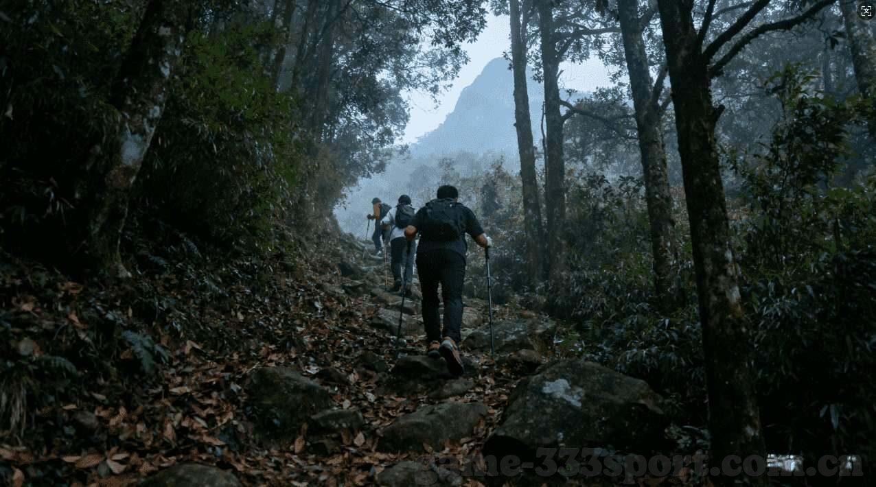 毕业生世界杯比基尼-毕业生世界杯比基尼，青春与梦想的璀璨绽放