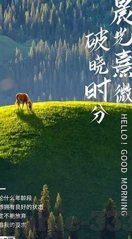 足球比分球来了-当足球比分球划破夜空，那些被数据与热血共同点燃的绿茵记忆